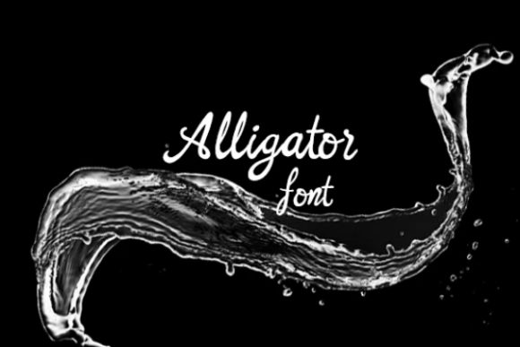 Alligator: A Versatile Script Font for Campaign Creativity