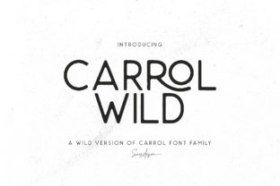 Carrol Wild: A Font That Speaks with Character