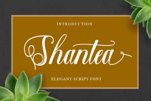 Shantea: A Font That Breathes Life Into Editorial Design