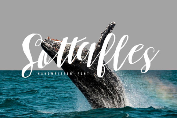 Sottafles: A Friendly Script Font for Editorial Design