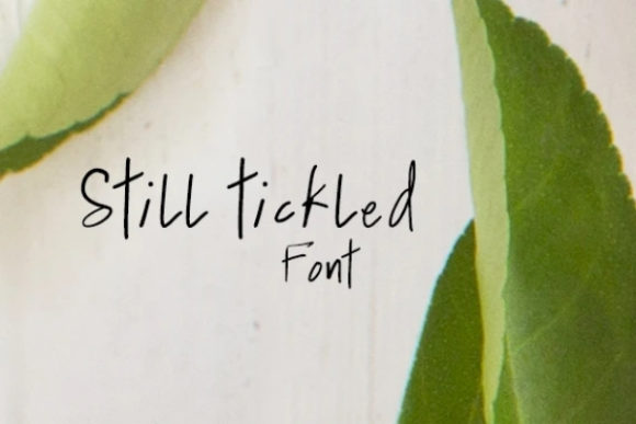 Still Tickled: A Font That Brings Warmth to Branding